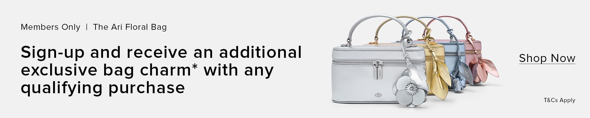 GWP Shoebag