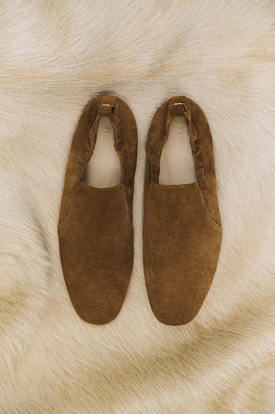 Shoes on white background
